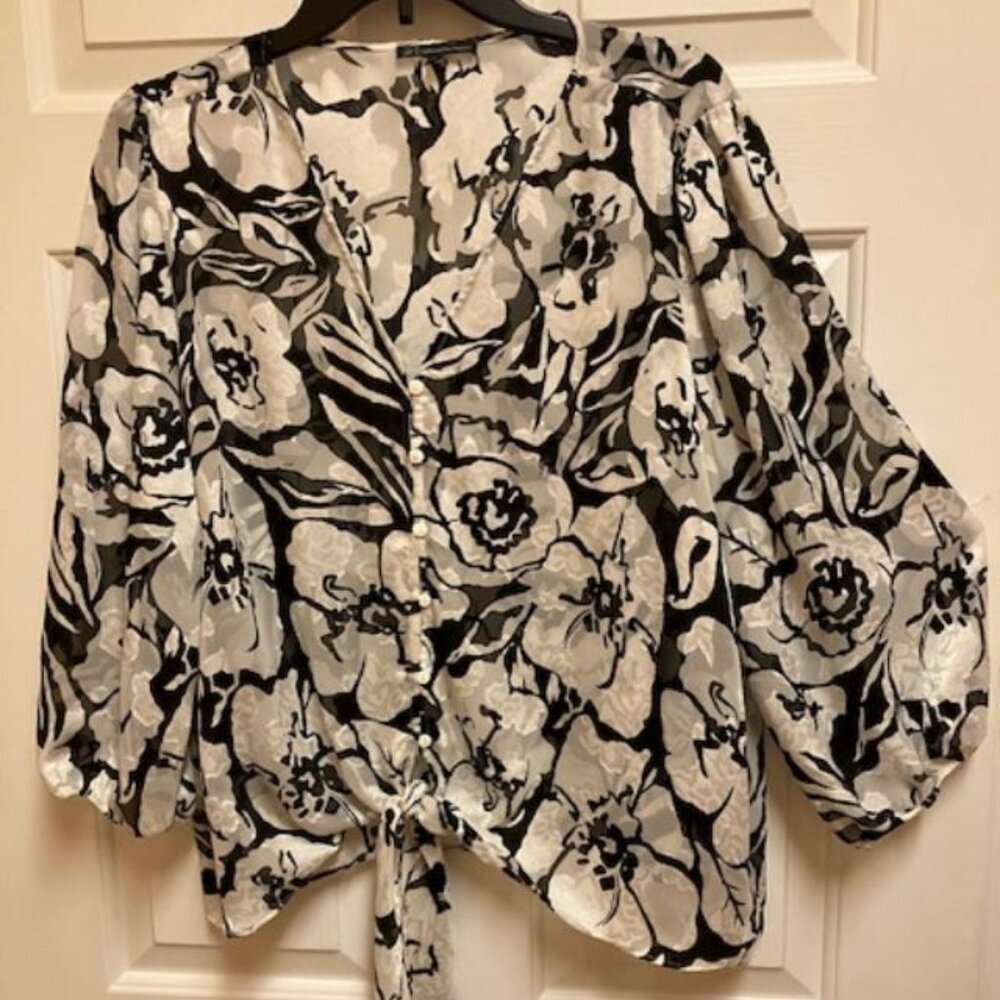 Adrianna Papell blouse - worn once